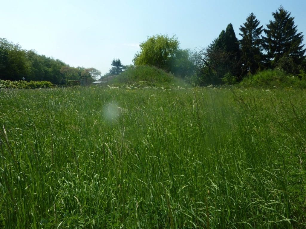 Chagny-«-Terrain-A-Bâtir-Route-de-Givry-»-Avec-visibilité